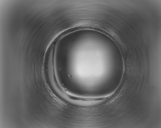 X0000058100880200509301832