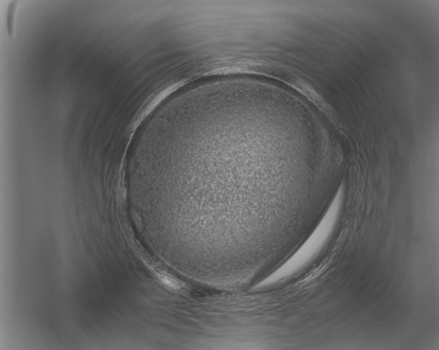X0000058100885200509301832