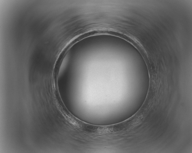 X0000058100887200509301832