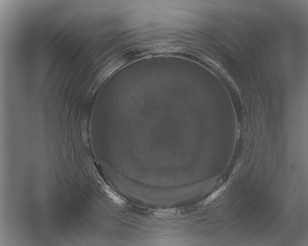 X0000058100889200509301831