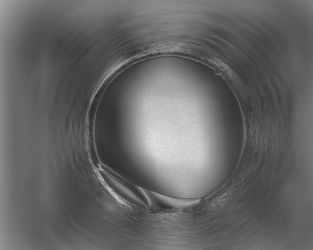 X0000058100894200509301831