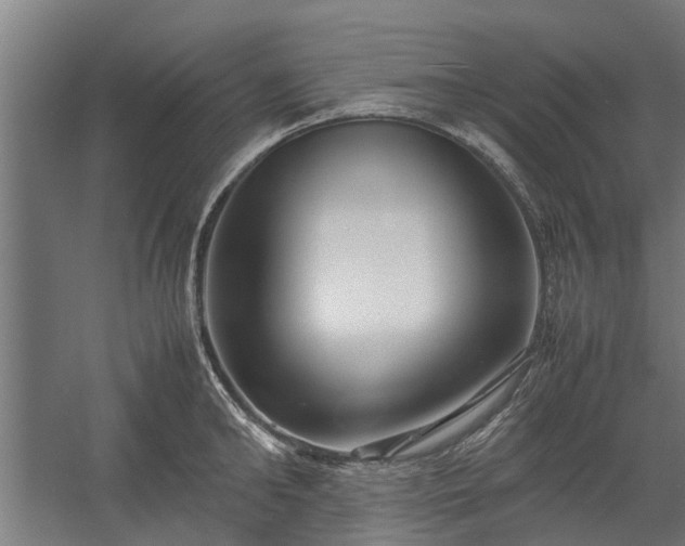 X0000058100902200509301831