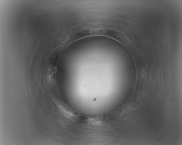 X0000058100914200509301830