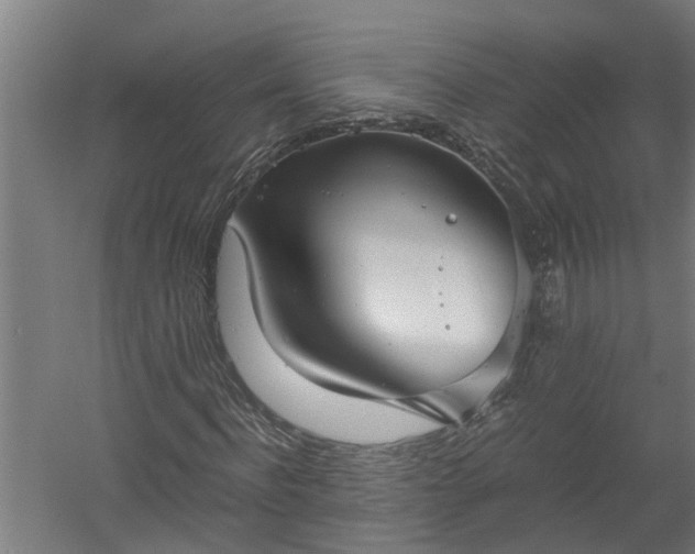X0000058100916200509301830