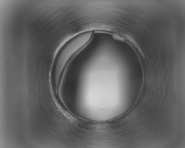 X0000058100936200509301831