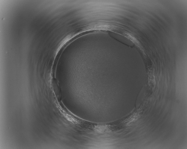 X0000058100944200509301831