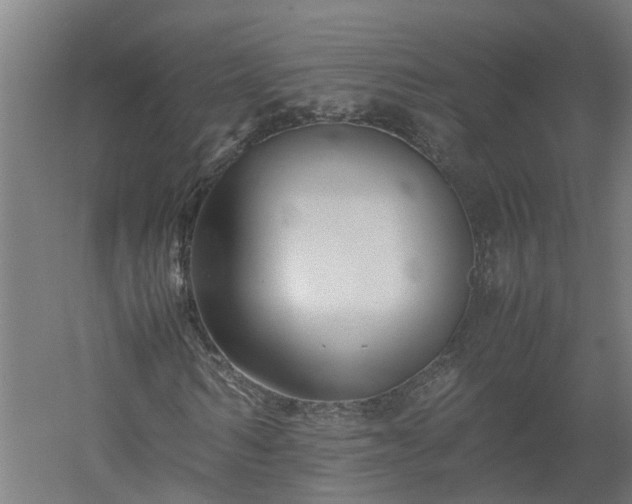 X0000058100962200509301830