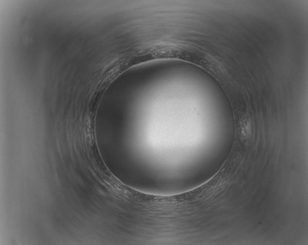 X0000058100964200509301830