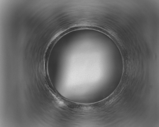 X0000058100982200509301830