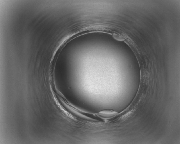 X0000058100989200509301830