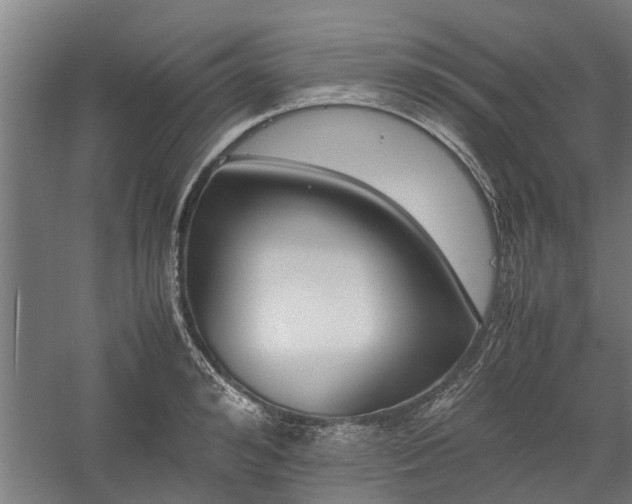 X0000058100992200509301830