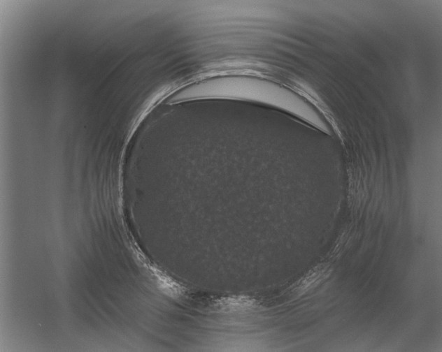 X0000058100994200509301830