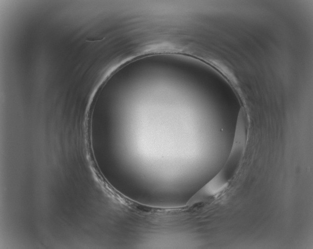 X0000058101008200509301829
