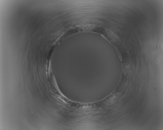 X0000058101010200509301829