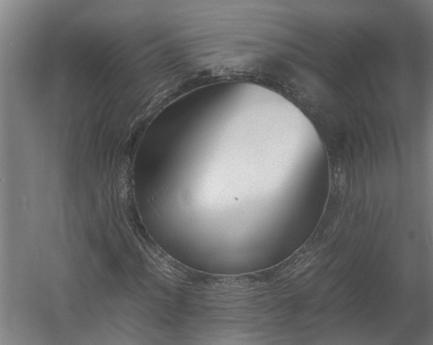 X0000058101012200509301829