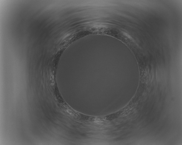 X0000058101013200509301829