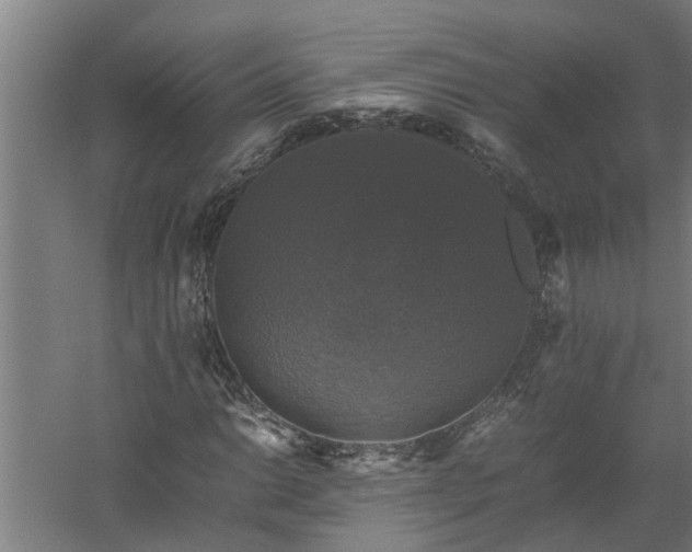 X0000058101014200509301829