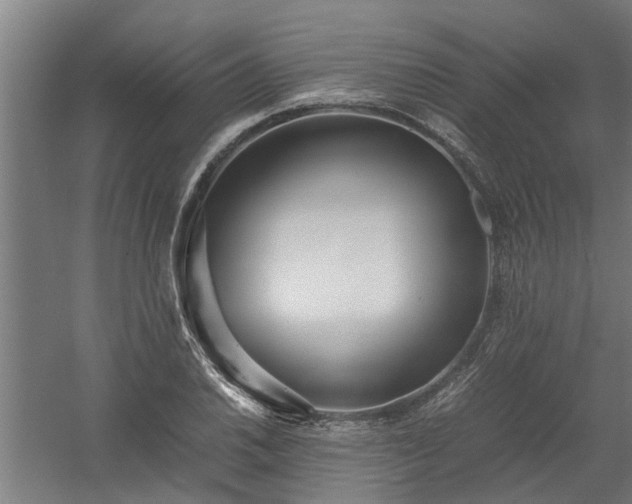 X0000058101030200509301829