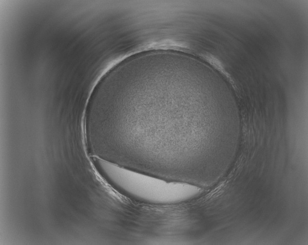 X0000058101032200509301829