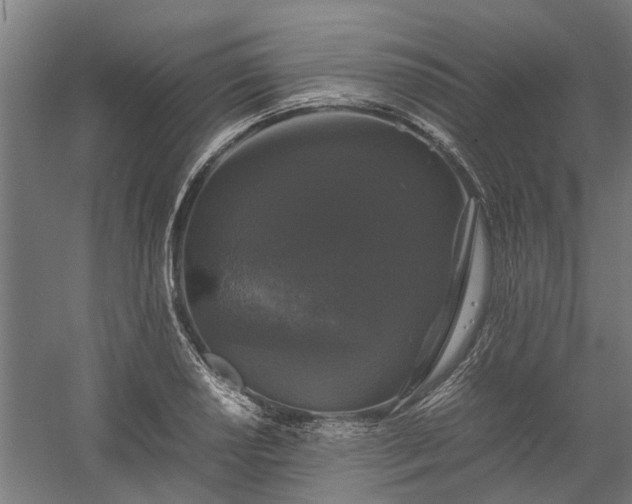 X0000058101034200509301829