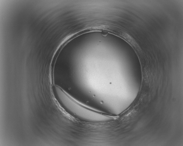 X0000058101036200509301829