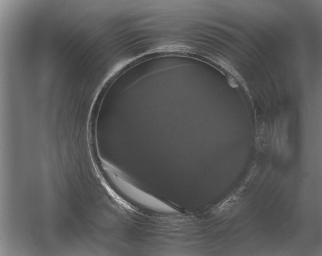 X0000058101037200509301829