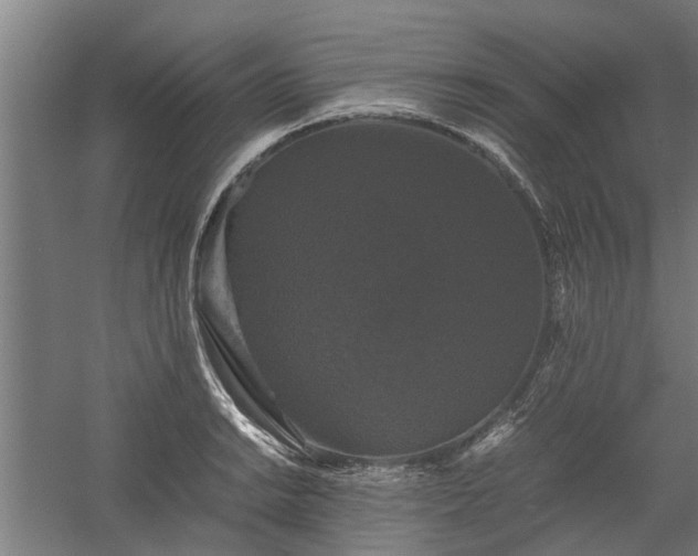 X0000058101038200509301829