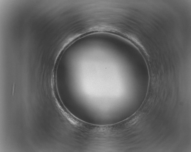 X0000058101040200509301829