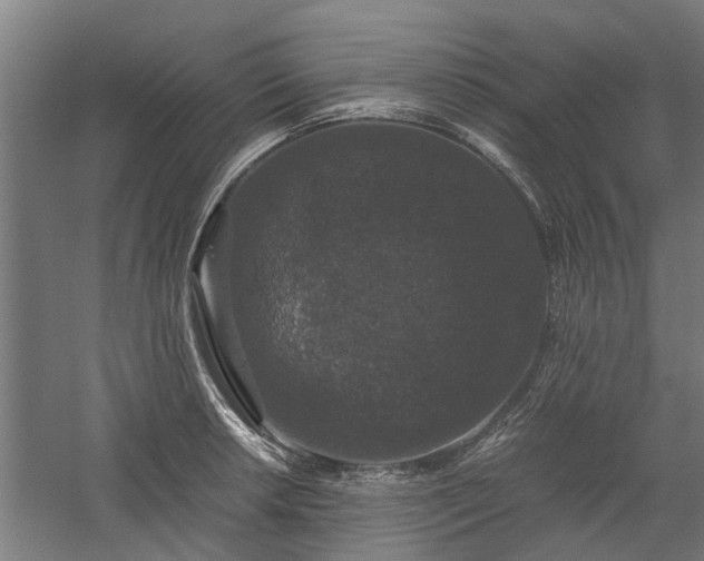 X0000058101042200509301829