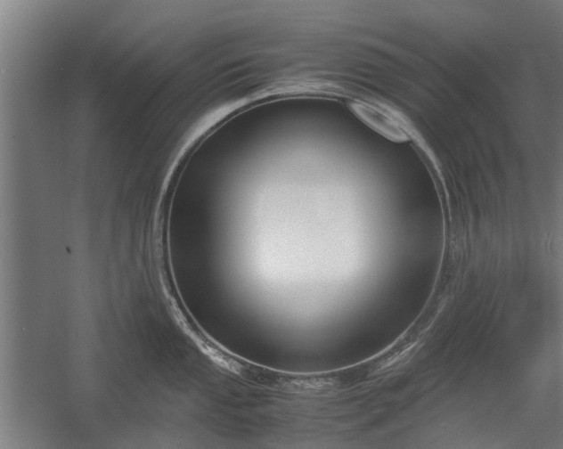 X0000058101053200509301829