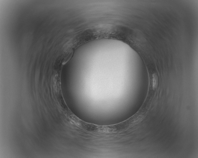 X0000058101059200509301829