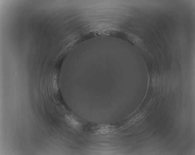 X0000058101060200509301829