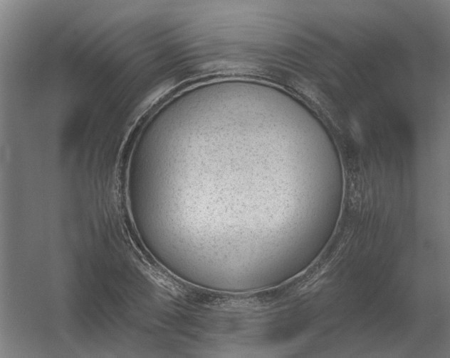 X0000058101074200509301828