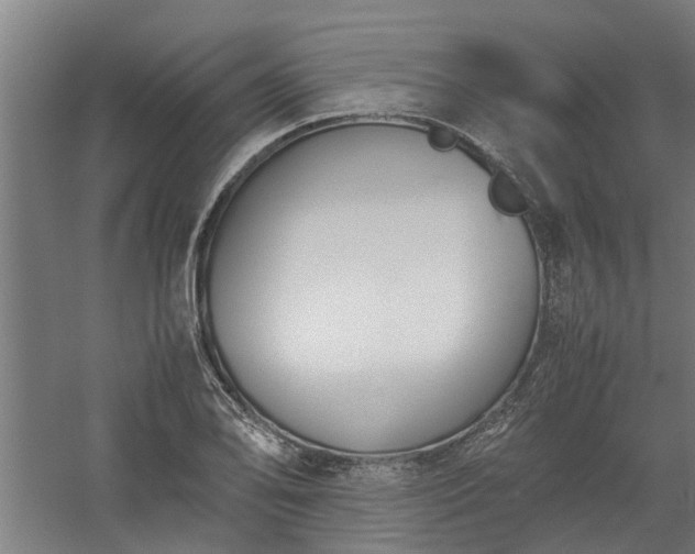 X0000058101078200509301828