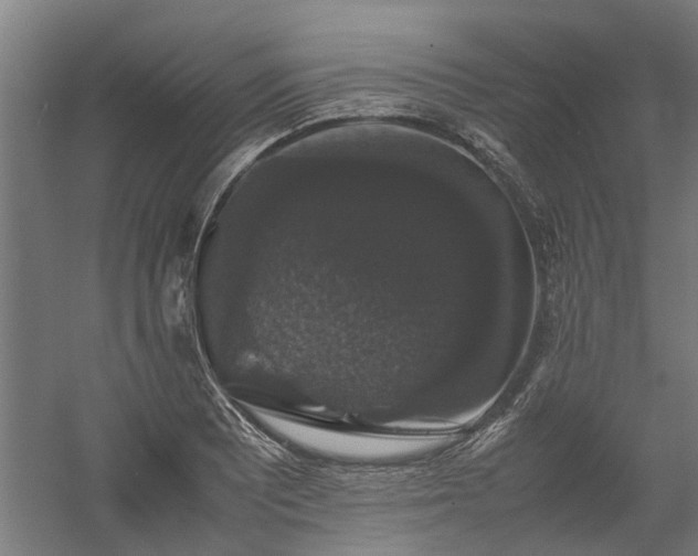 X0000058101081200509301828