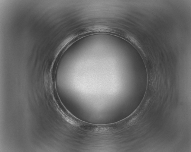 X0000058101082200509301828