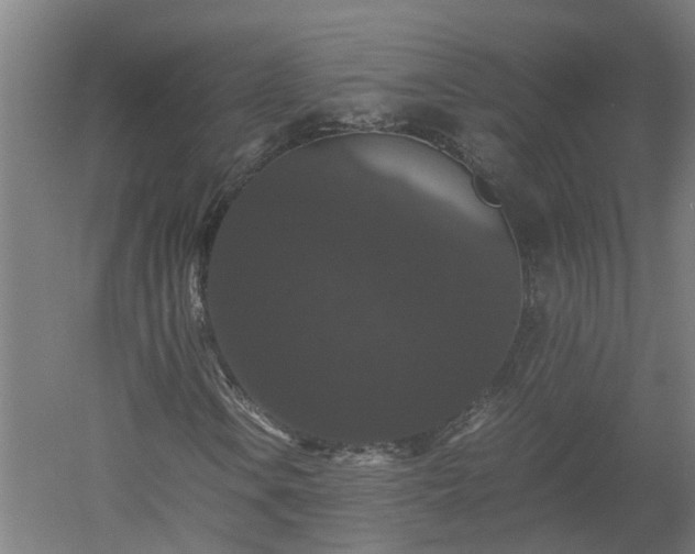 X0000058101106200509301827