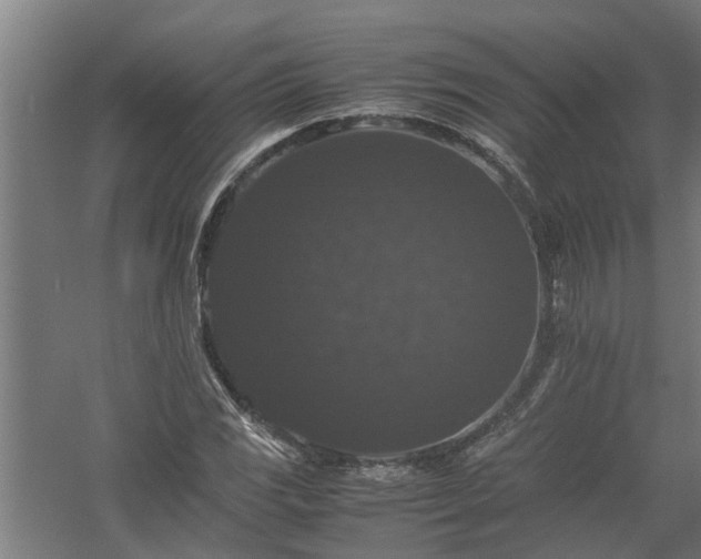 X0000058101117200509301827