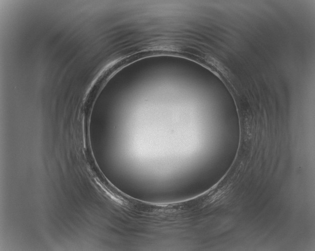 X0000058101123200509301827