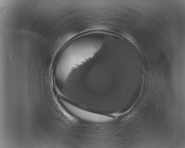 X0000058101127200509301827