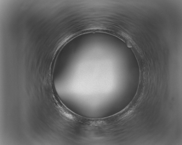 X0000058101129200509301827