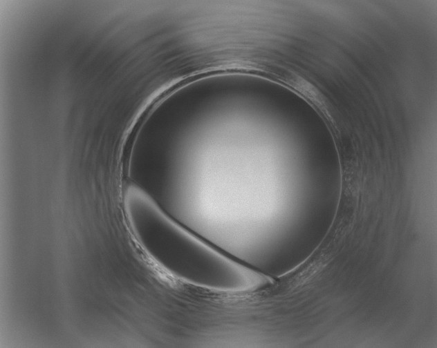 X0000058101140200509301828