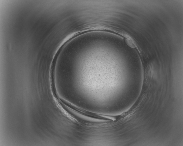 X0000058101142200509301828