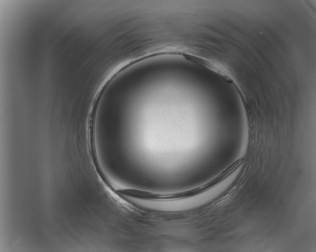 X0000058101151200509301828