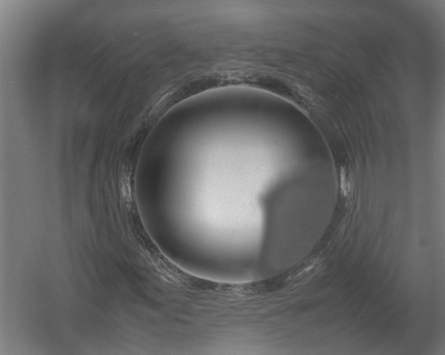X0000058101155200509301827