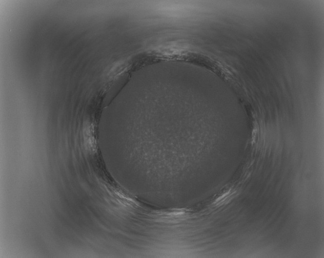 X0000058101156200509301827