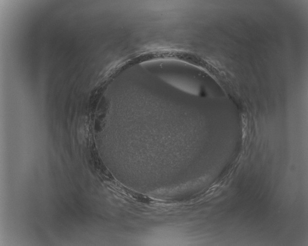 X0000058101157200509301827