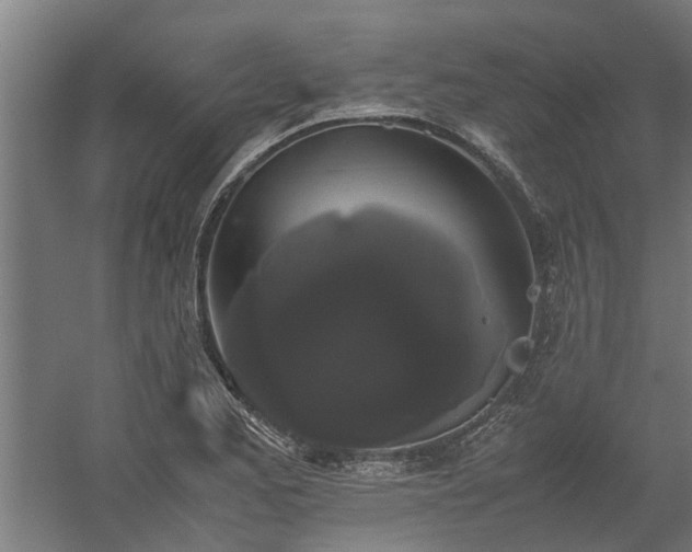 X0000058101173200509301827