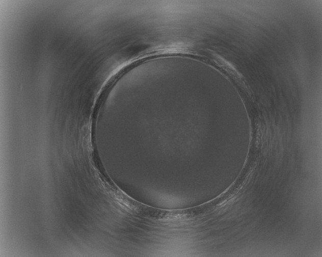 X0000058101174200509301827