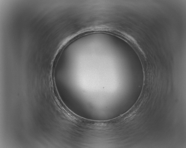 X0000058101176200509301827